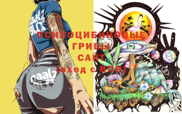 бошки Богданович