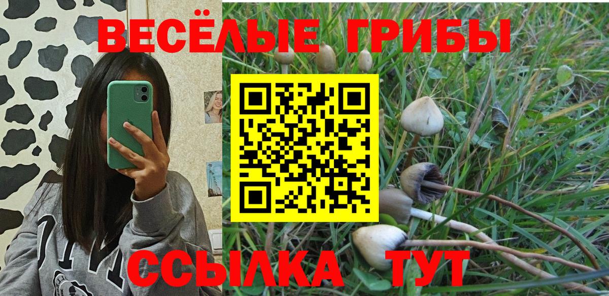 Псилоцибиновые грибы Psilocybine cubensis  Галлюциногенные грибы прущие грибы  Вход с VPN  Дальнегорск 