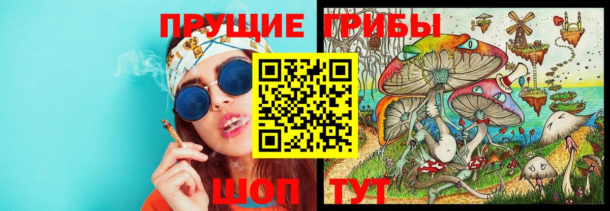 Галлюциногенные грибы Cubensis Дальнегорск